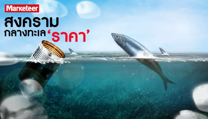 วิธีเลือกปลากระป๋องพรีเมียมตามมาตรฐานเชฟ: เนื้อแมกเคอเรลชิ้นใหญ่และซอสมะเขือเทศไลโคปีนสูง