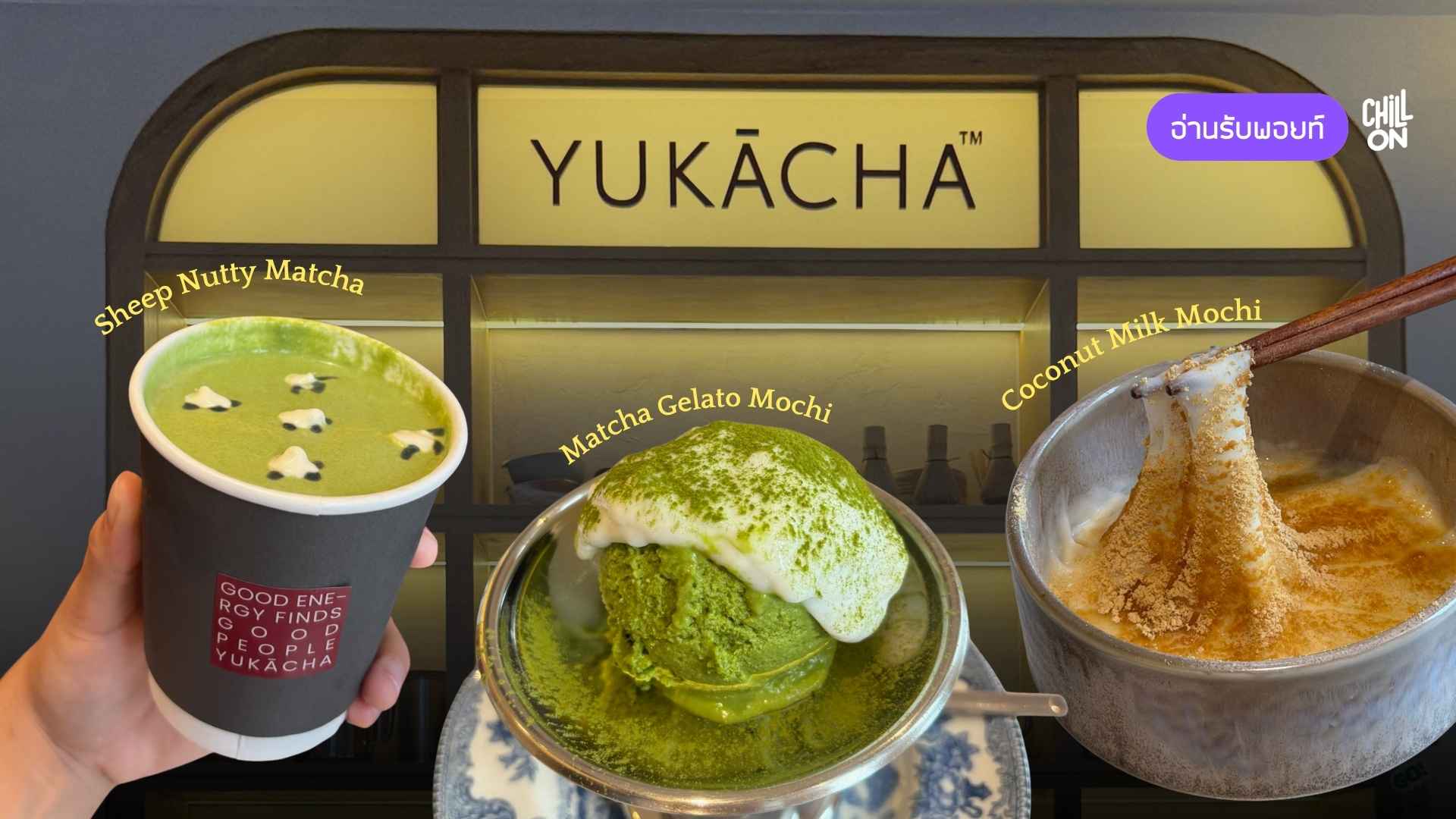มัทฉะคาเฟ่ยอดนิยมจากเกรดพรีเมียมสู่ราคาเข้าถึงได้