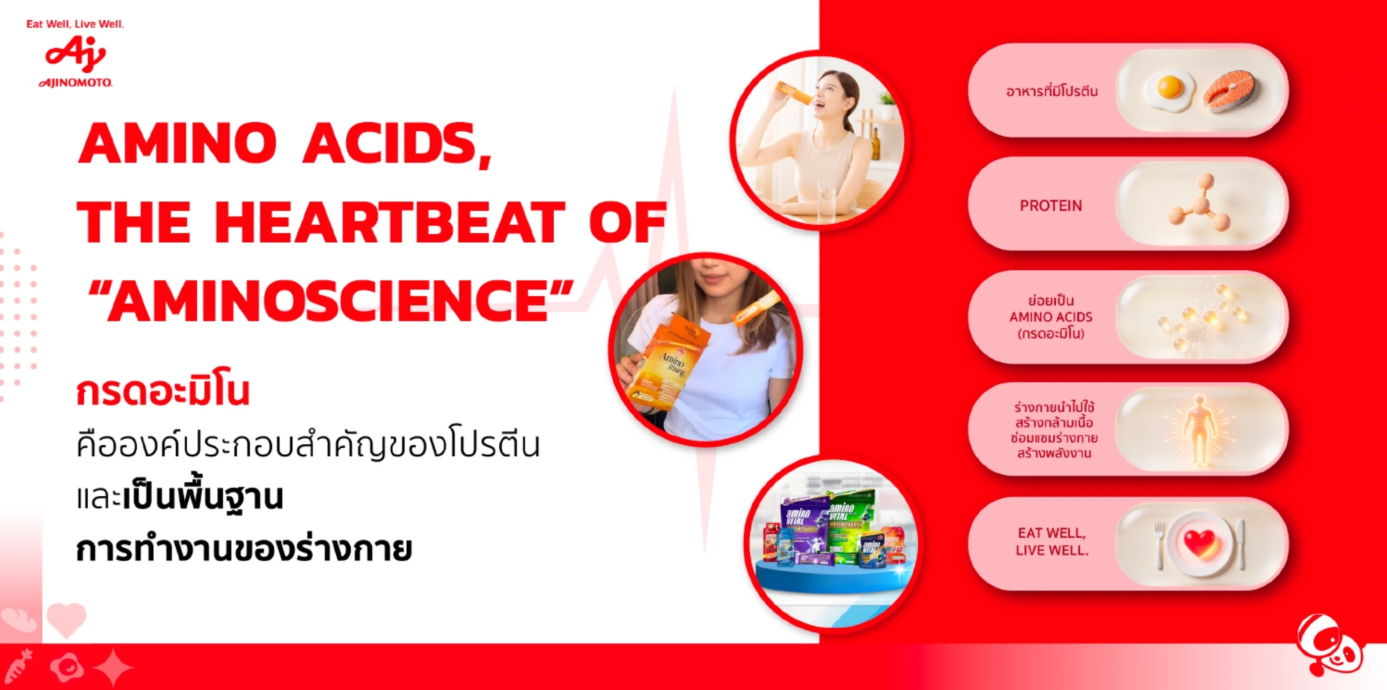 ทำไมโภชนาการแบบเดียวสำหรับทุกคนถึงล้มเหลว และวิทยาศาสตร์กรดอะมิโนกำลังเปลี่ยนเกม