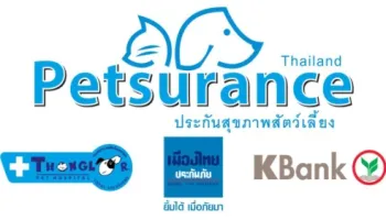ประกันภัยสัตว์เลี้ยงและวิธีเคลมให้คุ้มสำหรับเจ้าของสุนัขแมว
