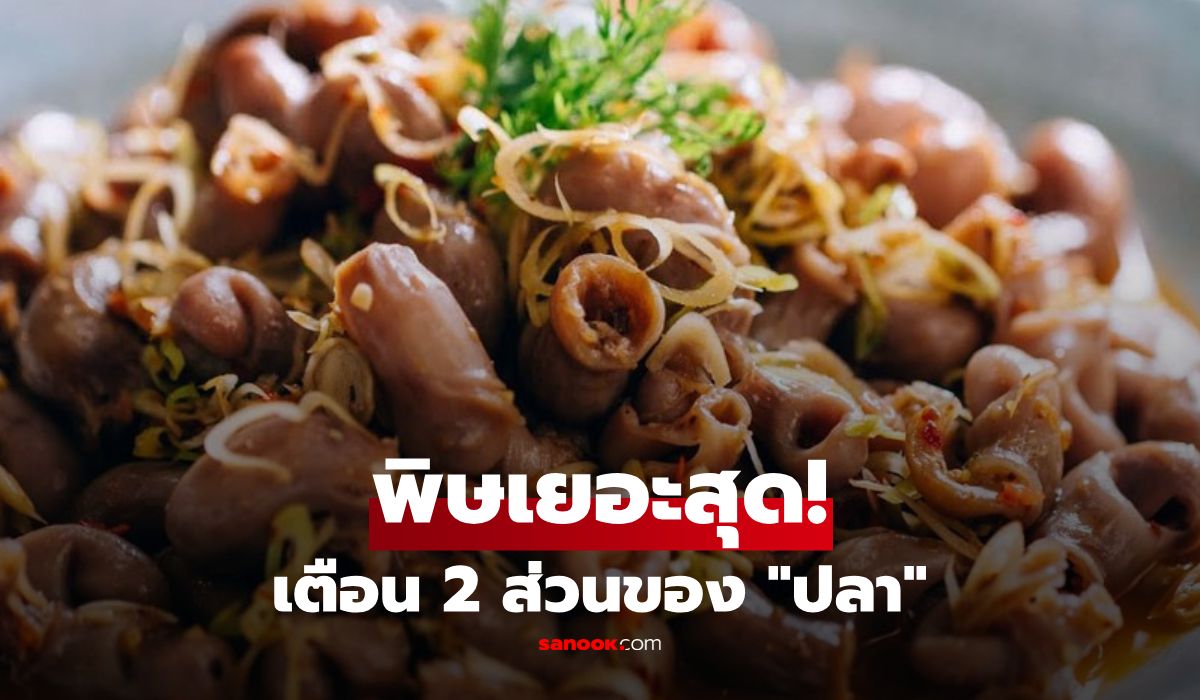 3 เมนูปลาอร่อยแต่เสี่ยง พิษแอบซ่อนในจานที่คุณคุ้นเคย