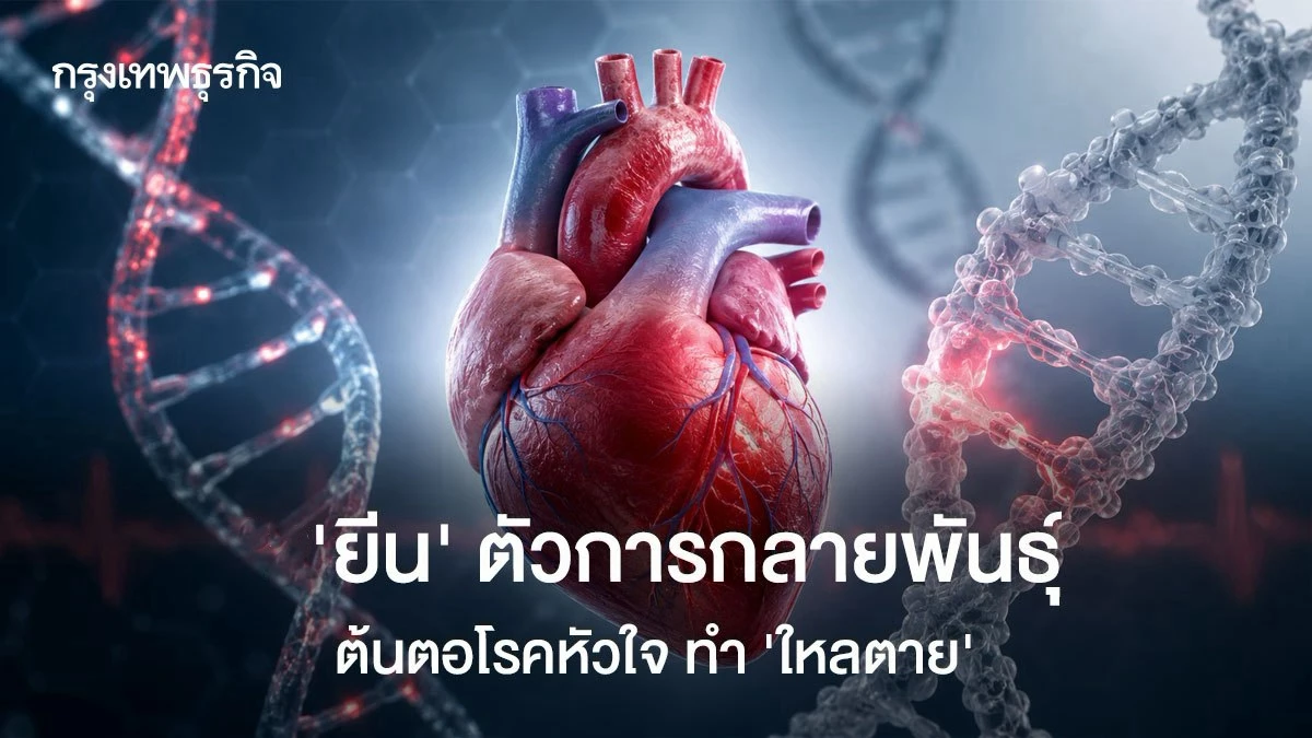 ทำไมคนแข็งแรงใหลตายตอนหลับ ระบบไฟฟ้าหัวใจและยีนกลายพันธุ์คือคำตอบ