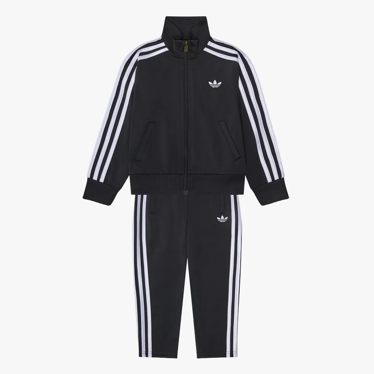 พิธีกรรมกลับไปโรงเรียนที่หล่อหลอมวัยเด็กและไลฟ์สไตล์ร่วมสมัย