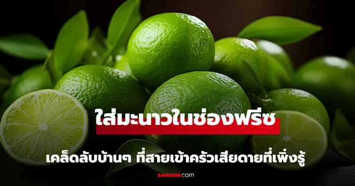 จัดตู้เย็นแบบ FIFO เปลี่ยนตู้เย็นแบล็กโฮลให้ประหยัดเงิน
