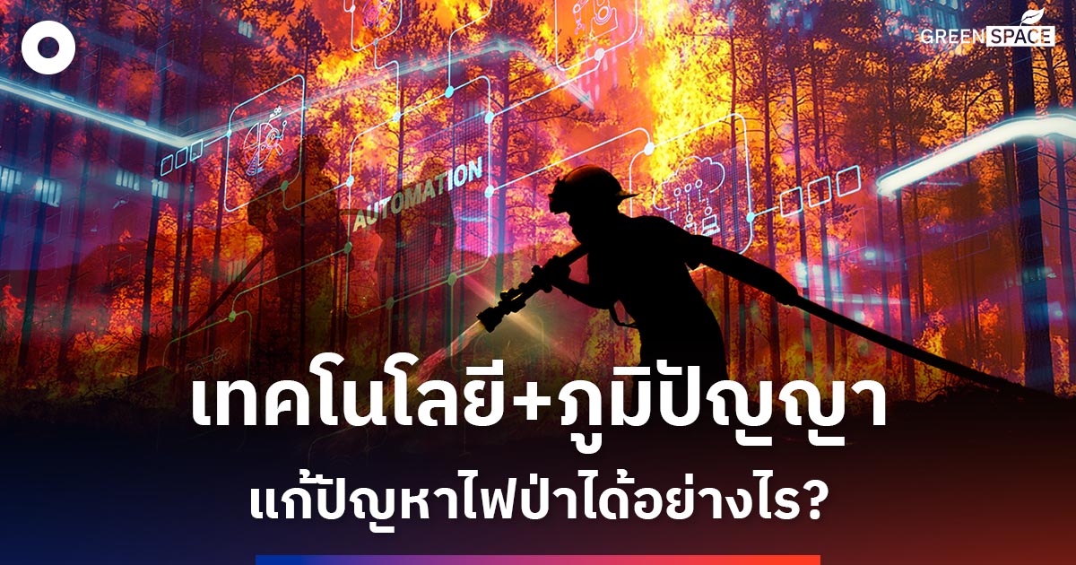 ดับไฟป่าด้วยไฟเย็น: ผสานภูมิปัญญาเก่ากับเทคโนโลยีใหม่