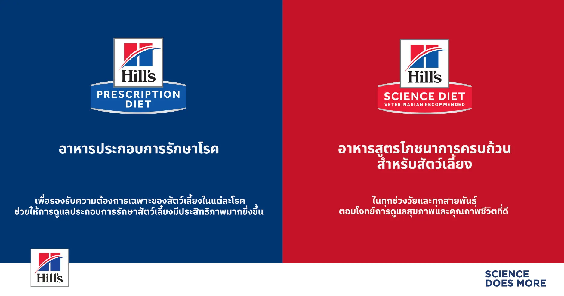 Pet Longevity เทรนด์ดูแลสัตว์เลี้ยงระยะยาวที่กลายเป็นธุรกิจใหม่
