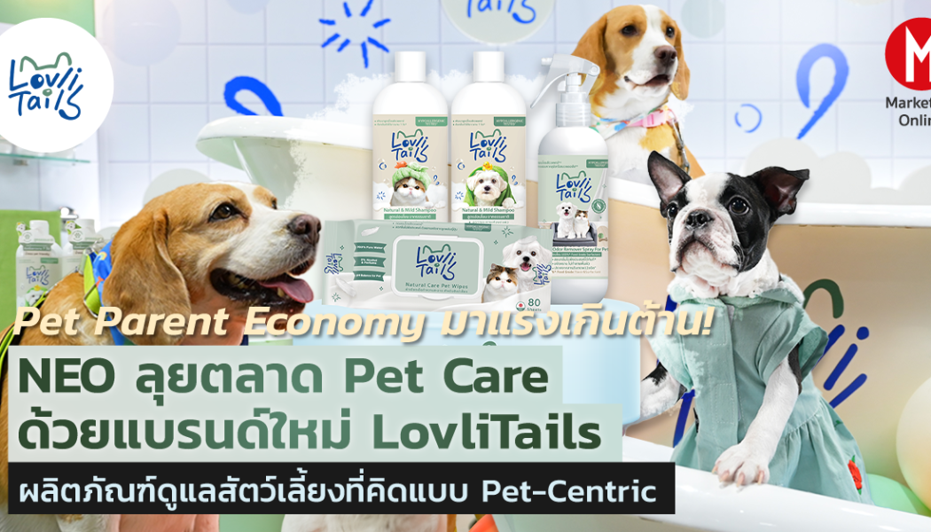 แบรนด์สัตว์เลี้ยงเดินหน้านวัตกรรม จากแชมพูสู่ที่นอนแมวเปลี่ยนบ้านให้เป็น Petfam