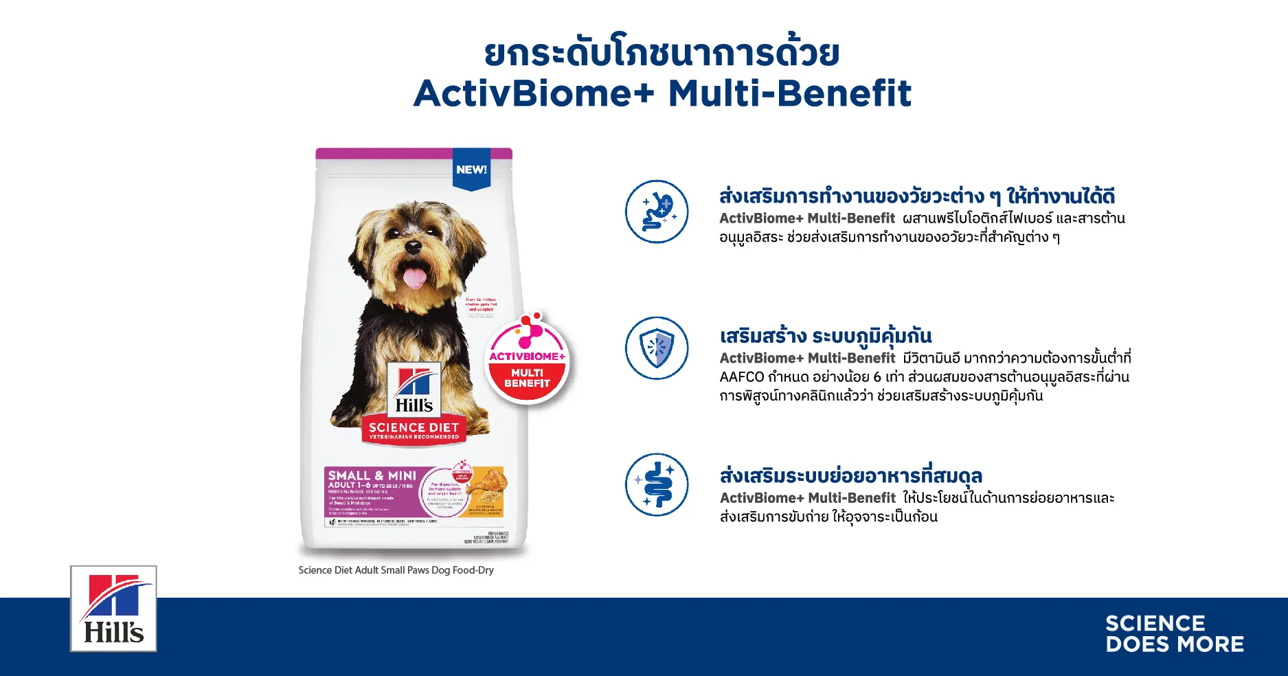 Pet Longevity เทรนด์ดูแลสัตว์เลี้ยงระยะยาวที่กลายเป็นธุรกิจใหม่