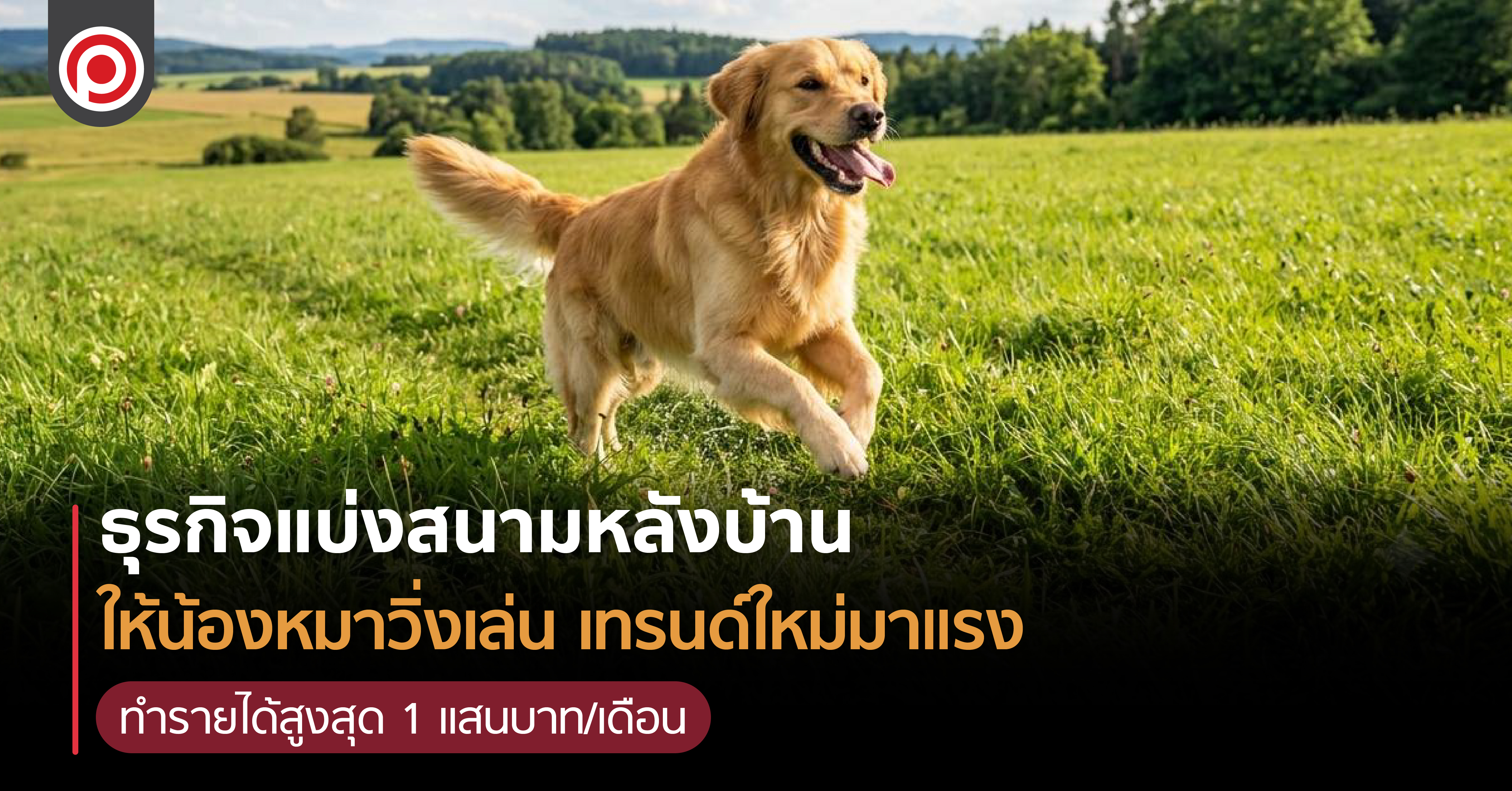 เช่าสุนัขรายชั่วโมง: ธุรกิจสัตว์เลี้ยงใหม่ที่ขายเวลา ไม่ขายเจ้าของ