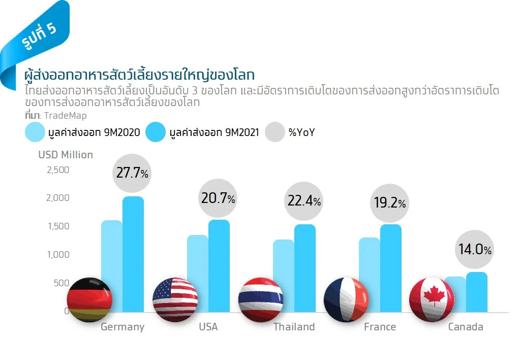 Pet Longevity เทรนด์สัตว์เลี้ยงอยู่นานขึ้นที่กำลังพลิกเกมธุรกิจสุขภาพและการเงิน