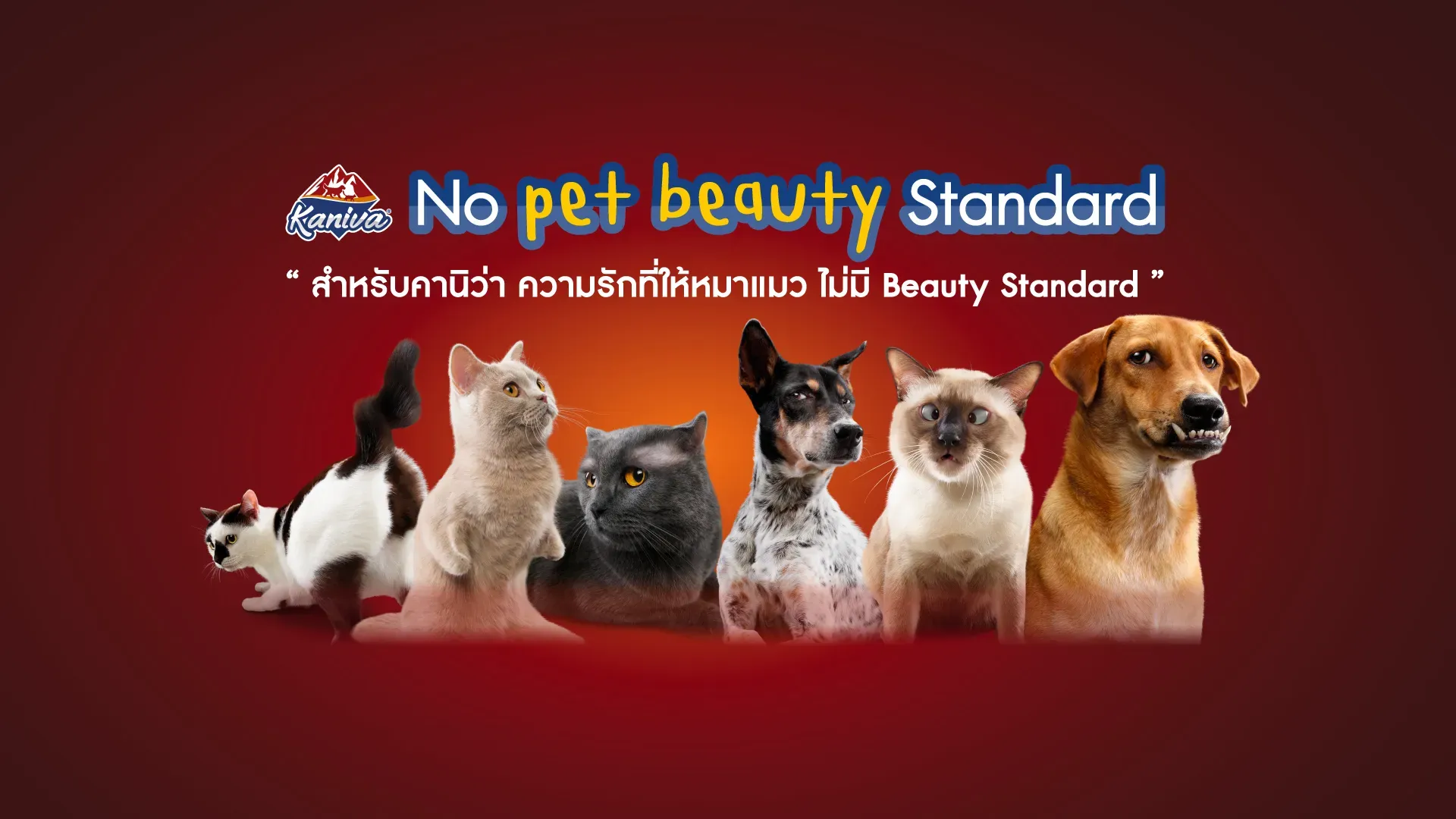 แคมเปญท้าทายมาตรฐานความน่ารัก: เมื่อ KANIVA บอกว่าไม่ต้องมี Pet Beauty Standard