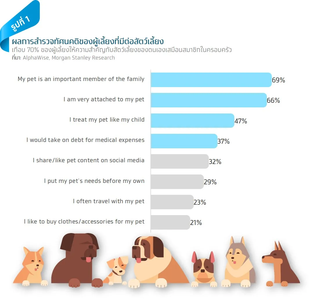 Pet Longevity เทรนด์สัตว์เลี้ยงอยู่นานขึ้นที่กำลังพลิกเกมธุรกิจสุขภาพและการเงิน