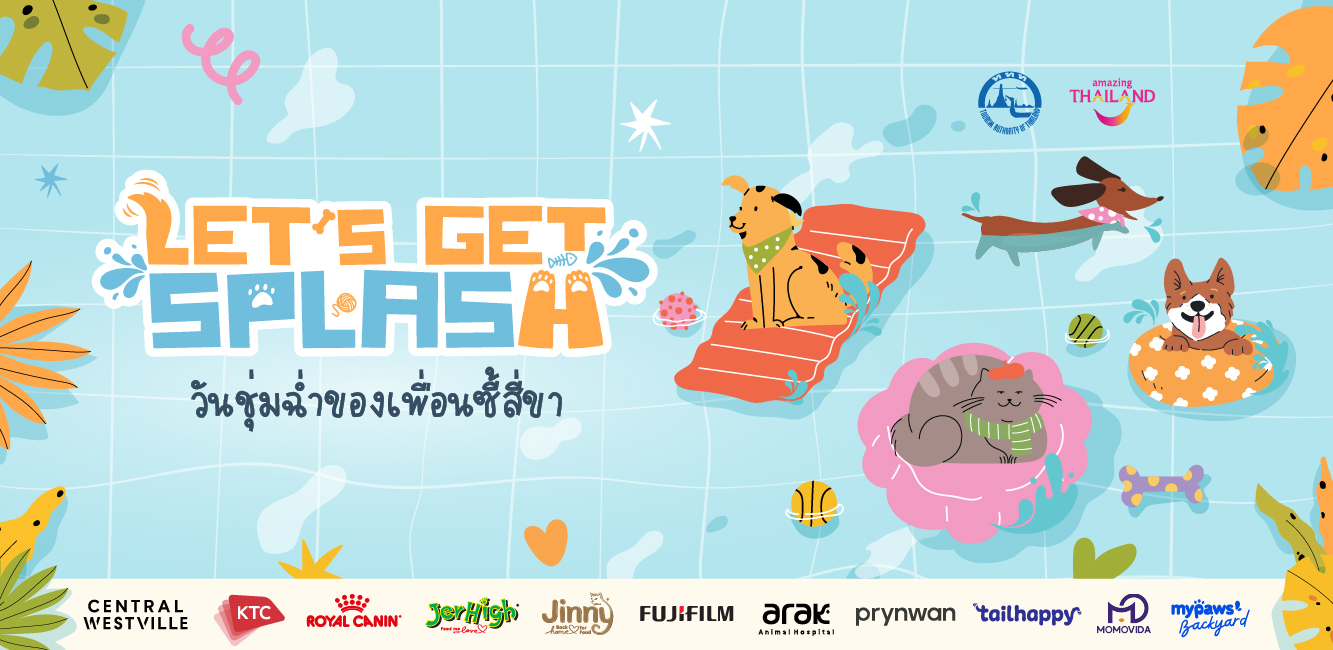 ท่องเที่ยวกับสัตว์เลี้ยง: เมื่อ Pet Personalization กลายเป็นสนามเติบโตใหม่ของธุรกิจท่องเที่ยว