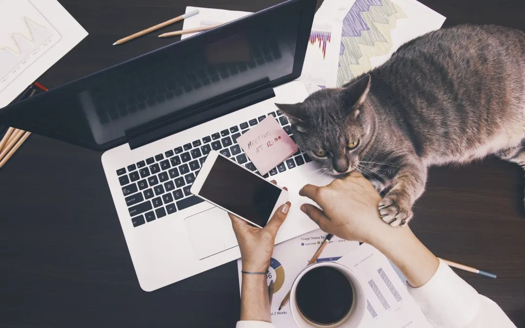 ทำไมรองเท้าสบายถึงชนะใจ Gen Z จากส้นสูงสู่แตะแบรนด์รุ่นเก่า