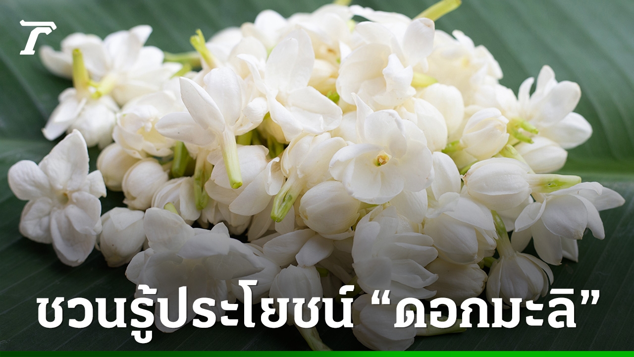 น้ำหอมของขวัญวันแม่ กลิ่นดอกมะลิและอโรมาเพื่อใจแม่