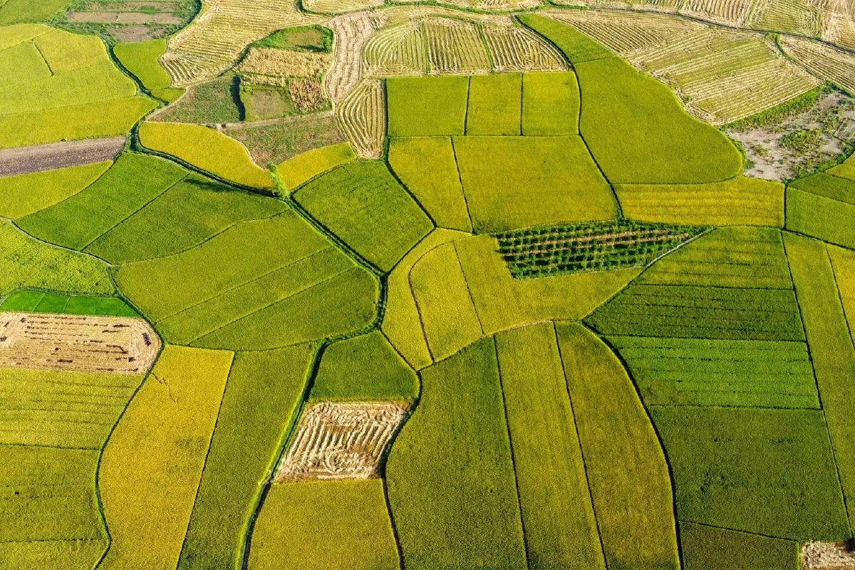 Agri-Map 2 และเครือข่ายดิจิทัลเกษตร: สมองกลางใหม่ของการตัดสินใจ