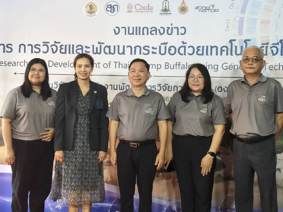 จีโนมควายไทยถูกถอดรหัส: ก้าวใหม่สู่การปรับปรุงพันธุ์แม่นยำและการอนุรักษ์พันธุกรรม