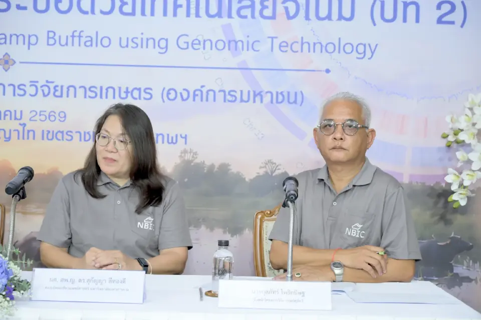 จีโนมควายไทย ปูฐานข้อมูลพันธุกรรมชาติสู่ยุคปรับปรุงพันธุ์แม่นยำ