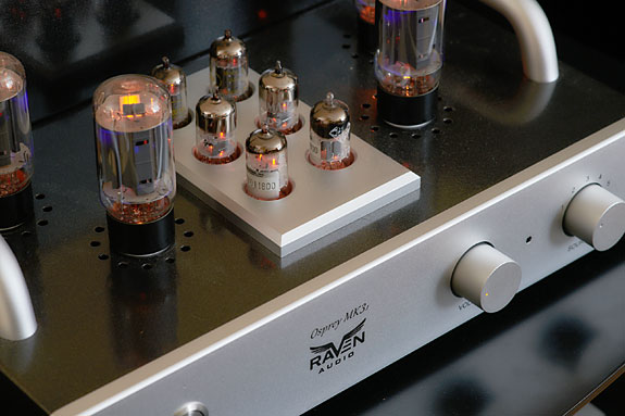 แอมพลิฟายเออร์อินทิเกรตระดับอ้างอิง: Arcam SA45 ปะทะ Raven Audio Osprey