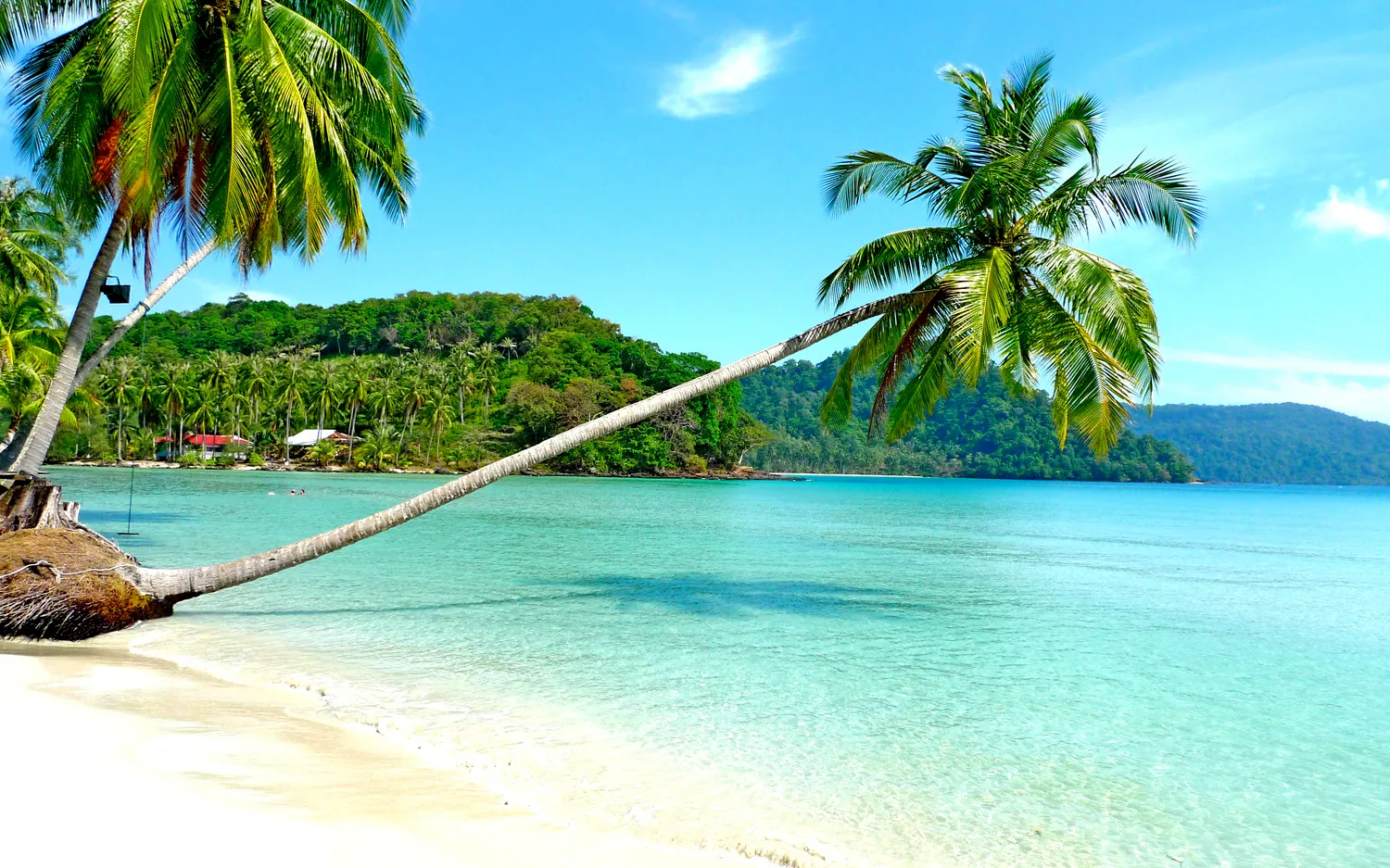 Coolcation หนีร้อน: เทรนด์เที่ยวเมืองหนาวท่ามกลางโลกเดือด