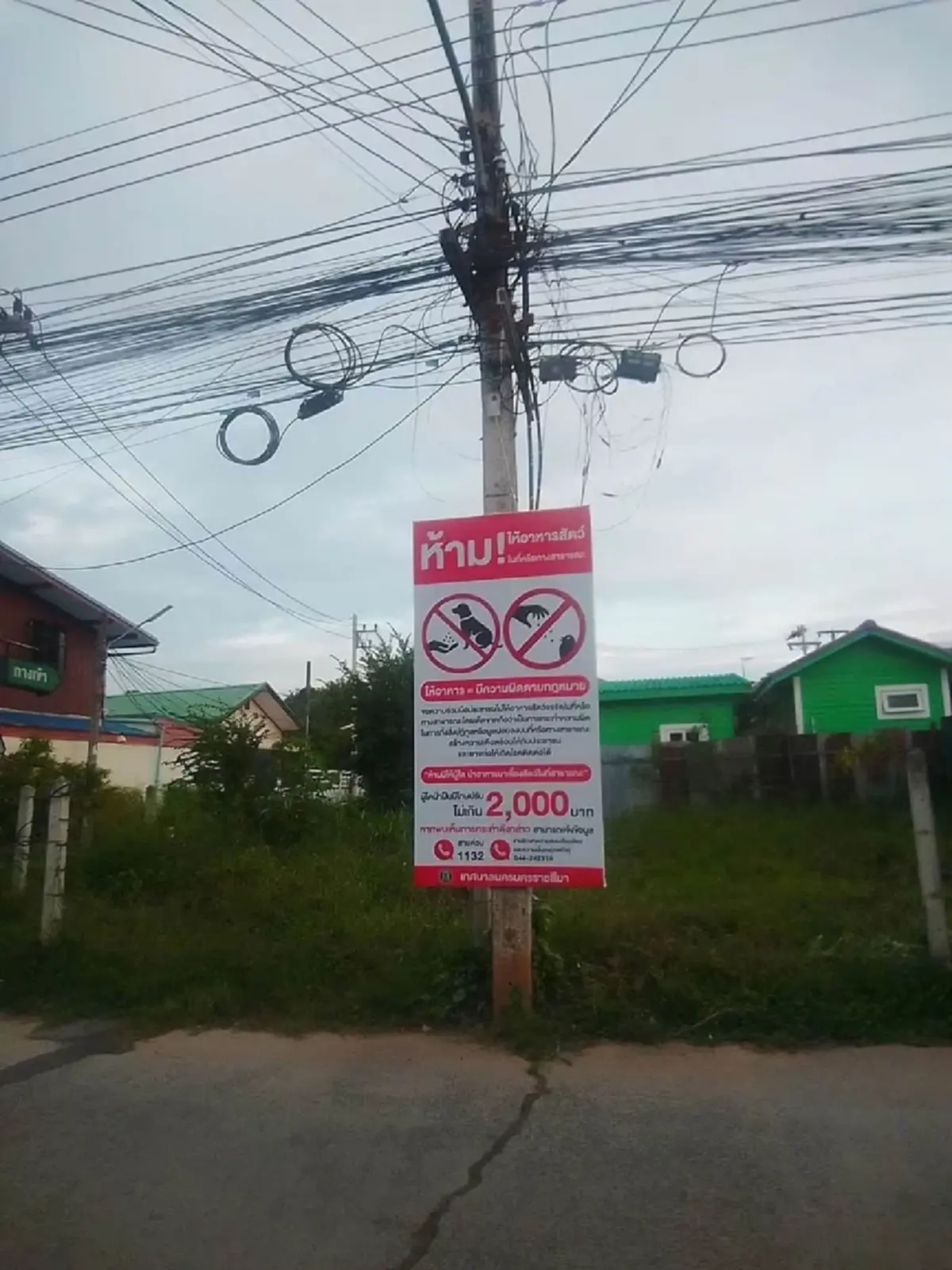 สัตว์เลี้ยงจรจัดกับกฎหมายสาธารณะ: ป้ายห้ามให้อาหารที่เปิดบาดแผลสังคม