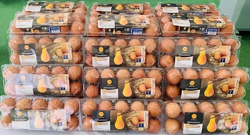 จากรางวัลสู่โต๊ะอาหาร: ไข่ไก่คุณภาพเริ่มต้นที่มาตรฐานการผลิต
