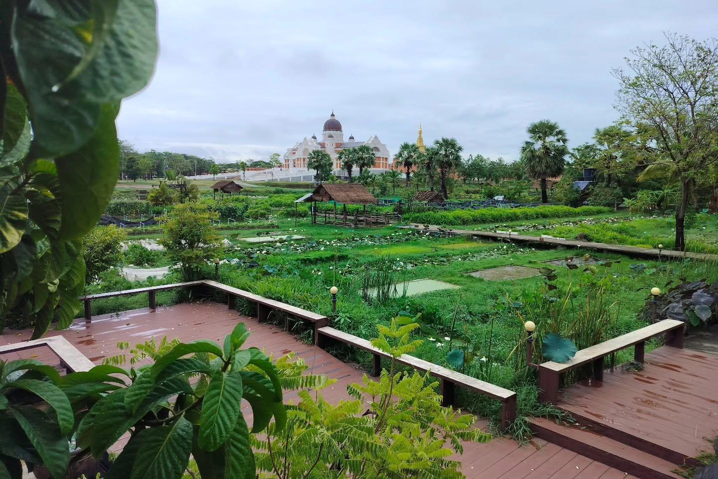 สนามบินภูมิภาคยุคใหม่ จากโครงสร้างพื้นฐานการบินสู่ศูนย์กลางชุมชนและความยั่งยืน