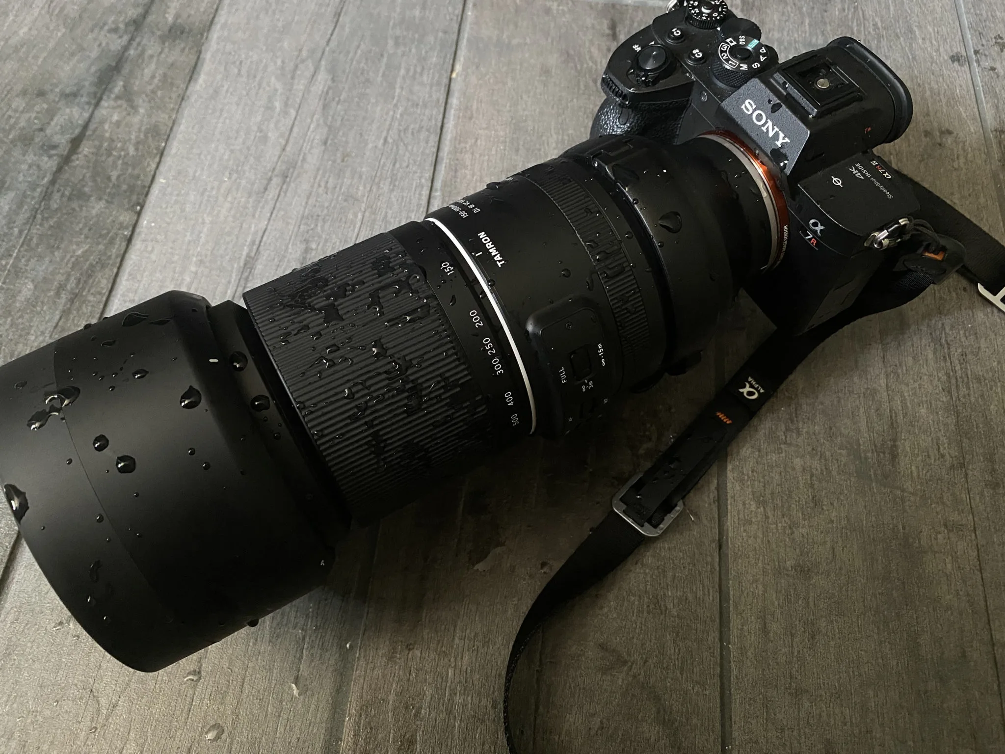 Sony 100-400mm vs Tamron 50-600mm เลนส์ซูมระยะยาวตัวไหนเหมาะกับสาย wildlife และสปอร์ต