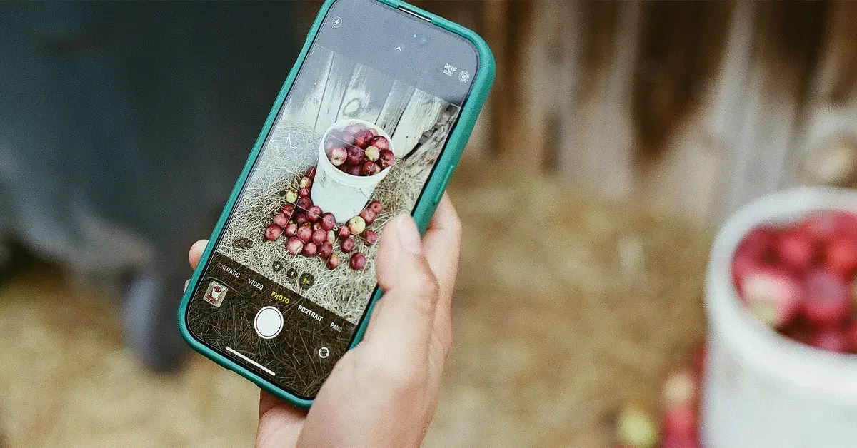 ถ่ายภาพด้วย iPhone ให้คมขึ้นใน 7 ขั้นแบบไม่ง้อคอร์สแพง