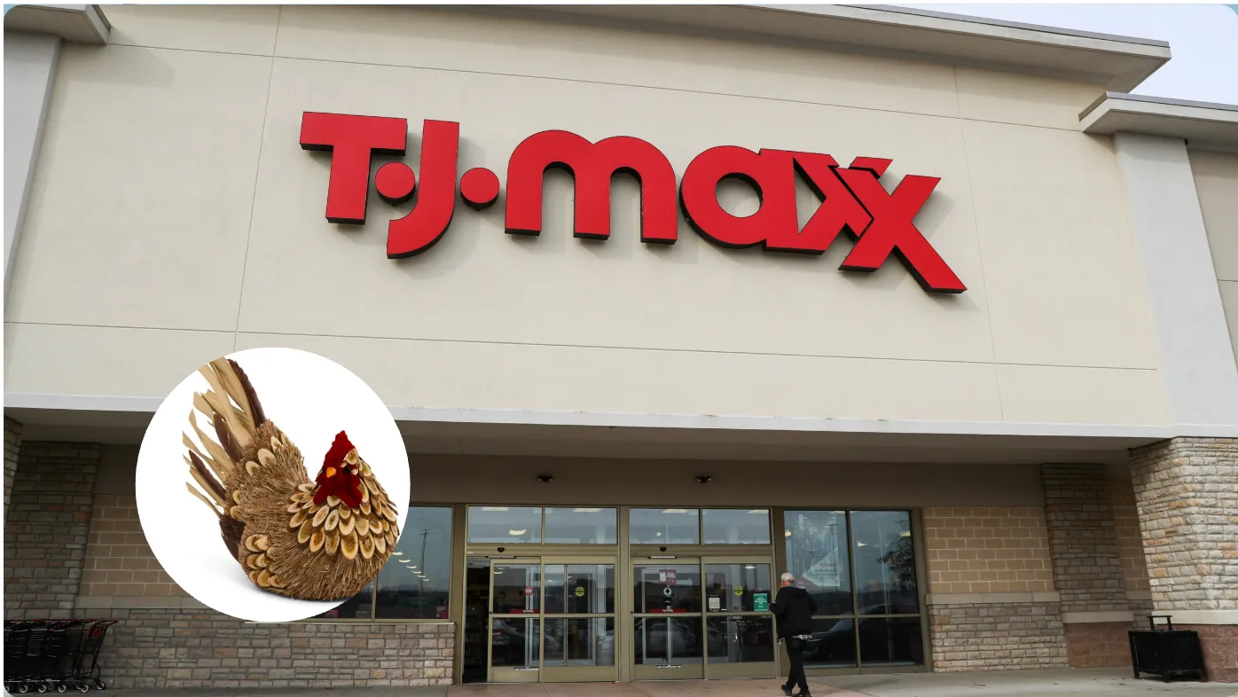 สร้างลุคฟาร์มเฮาส์อบอุ่นด้วยดีลราคาน้อยจาก TJ Maxx และ Dollar Tree