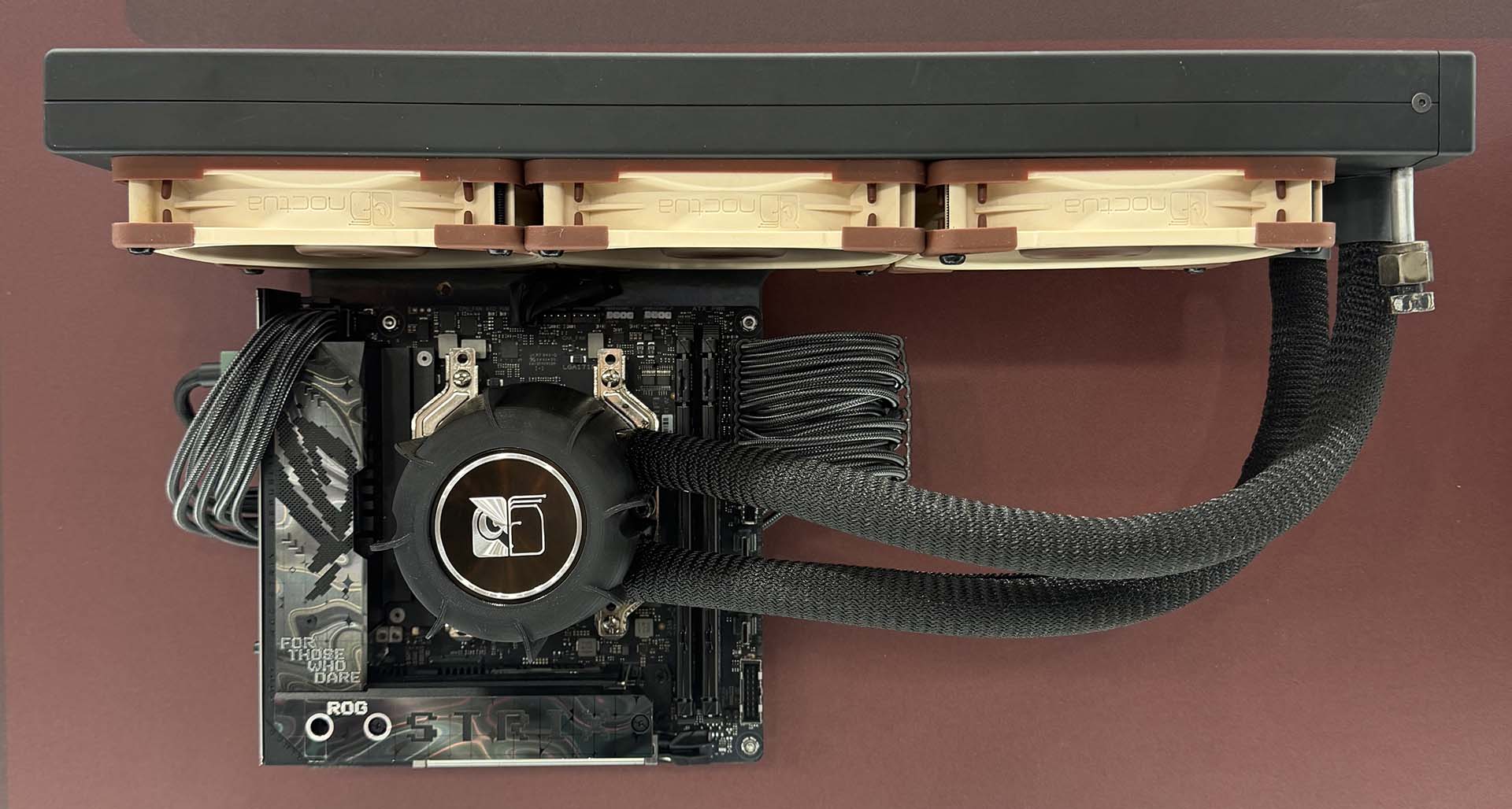 ทำไม Noctua เมิน RGB และจอ: เมื่อการระบายความร้อนชนะความสวย
