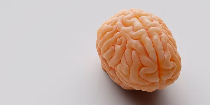 5 นิสัยทำวันละครั้งเพื่อสุขภาพสมองดีและยืดอายุสมอง