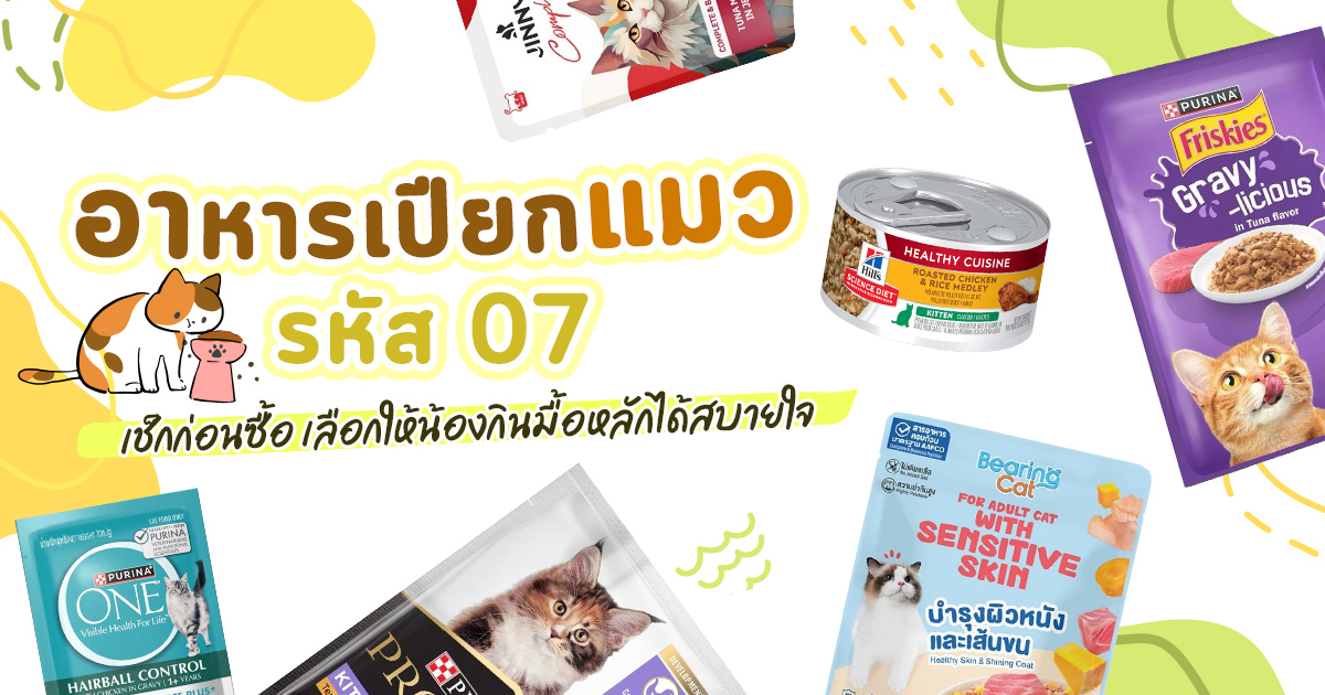 อาหารสัตว์เลี้ยงเถื่อนจากออนไลน์ ตรวจยังไงไม่ให้หมาแมวเสี่ยงตาย