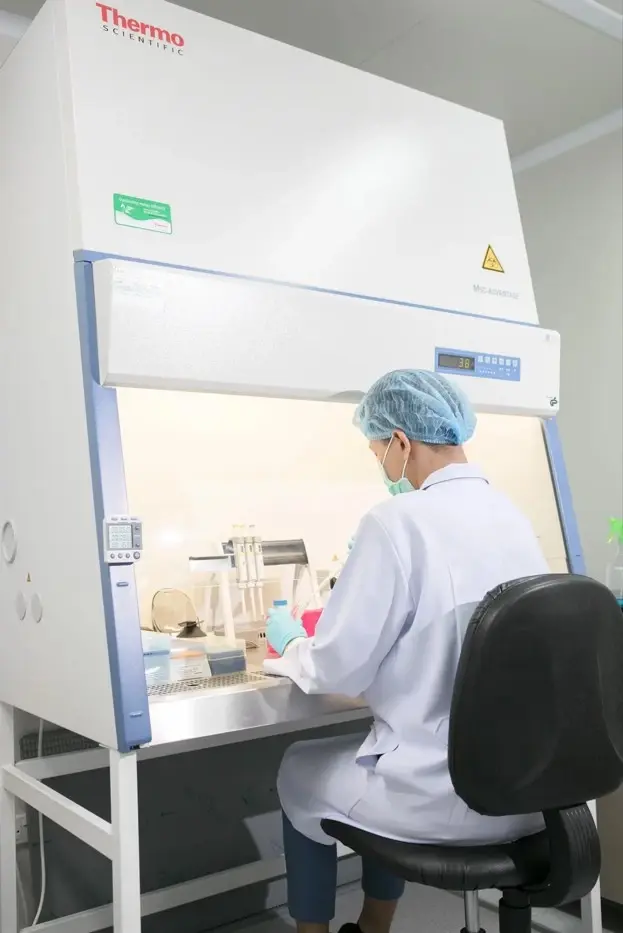 ทำไมการท่องเที่ยว IVF กำลังกลายเป็นเครื่องยนต์ใหม่ของท่องเที่ยวเชิงการแพทย์