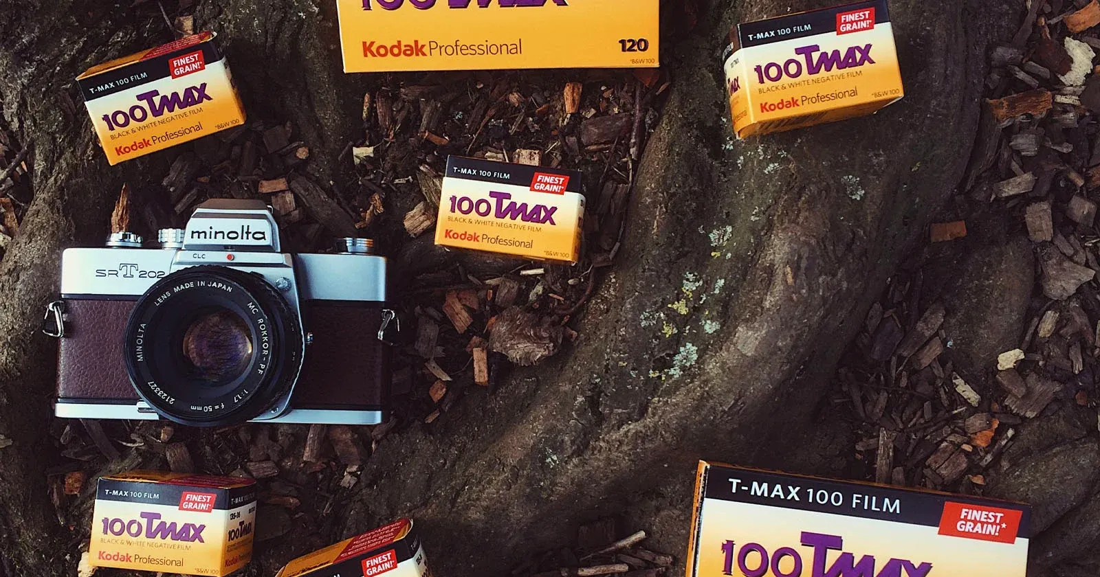 ทำไมฟิล์ม Kodak กลับมาครองใจสายแอนะล็อกทั่วโลก