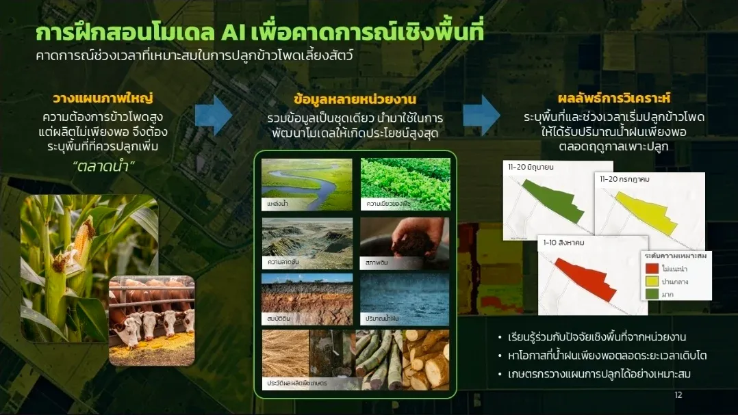 แผนที่อัจฉริยะ GeoAI เปลี่ยนการปลูกพืชให้คิดด้วยข้อมูล
