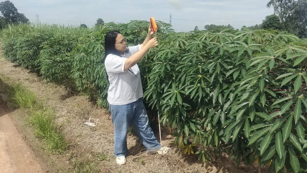 GeoAI กับ Agri-Map และ Single Map เปลี่ยนการปลูกพืชเป็นวิทยาศาสตร์การตัดสินใจแบบเรียลไทม์