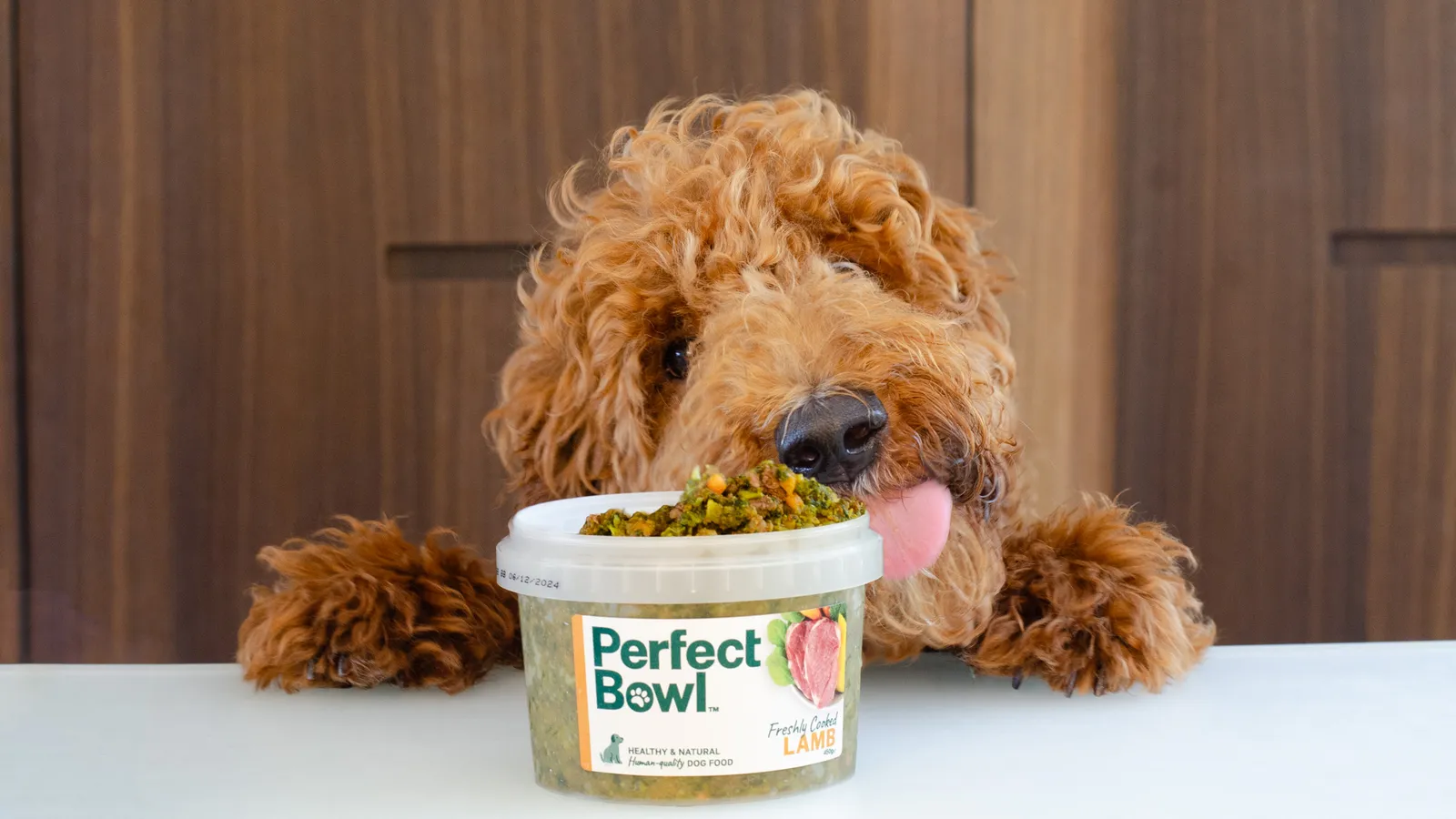 Pet Longevity เทรนด์อาหารสัตว์เลี้ยงพรีเมียมที่กำลังกลายเป็นธุรกิจทอง
