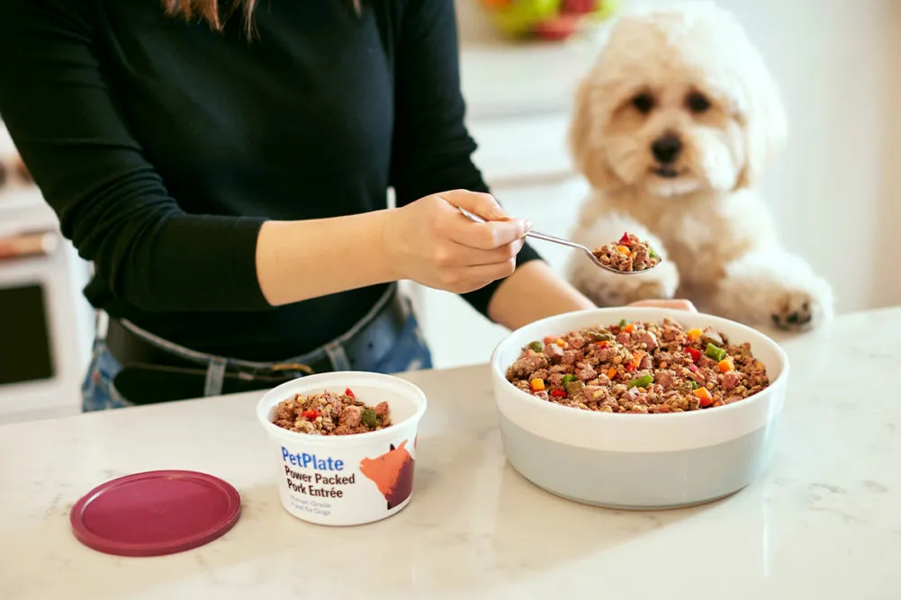 Pet Longevity เทรนด์อาหารสัตว์เลี้ยงพรีเมียมที่กำลังกลายเป็นธุรกิจทอง