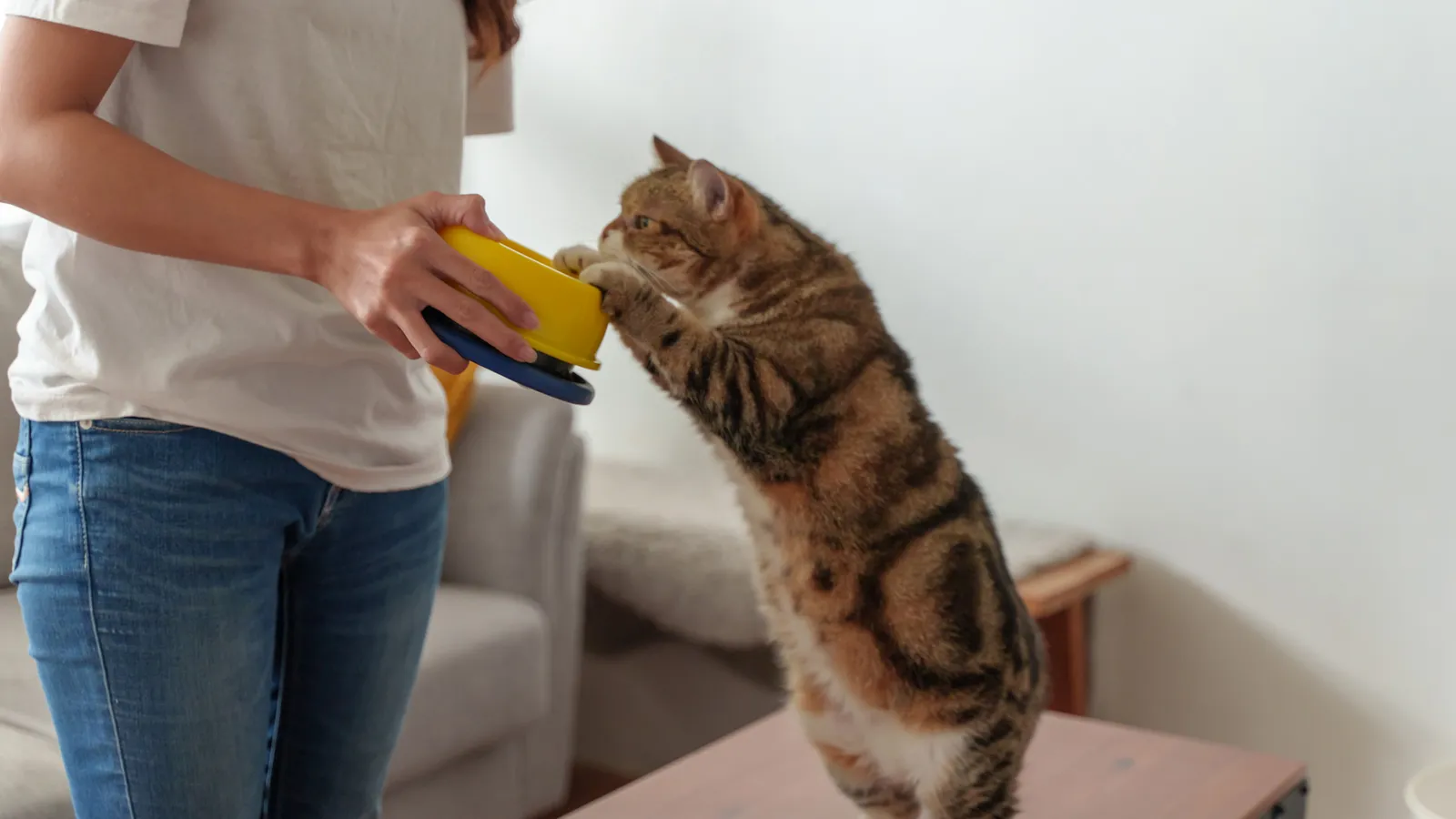 Pet Longevity เทรนด์อาหารสัตว์เลี้ยงพรีเมียมที่กำลังกลายเป็นธุรกิจทอง
