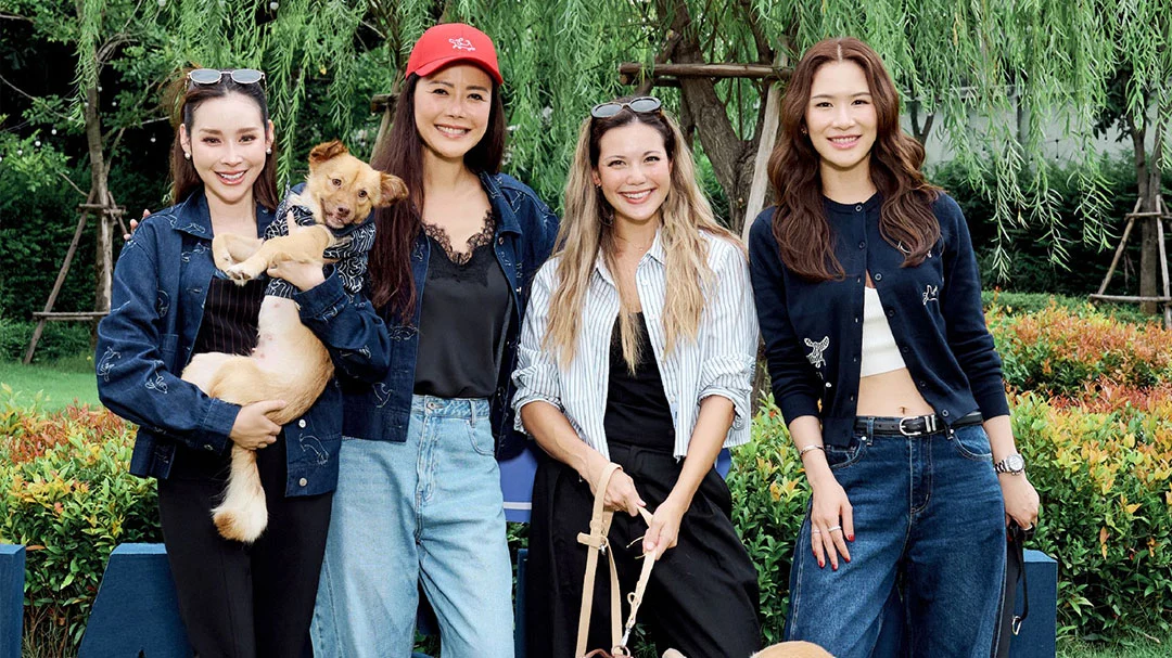 เมื่อแฟชั่นสุนัขกลายเป็นเวทีการรับเลี้ยง: เจาะกลยุทธ์ JASPAL PAWS & PLAY