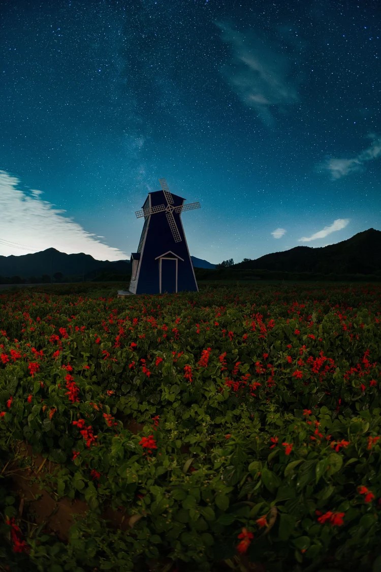 เลนส์ฟิชอาย AF 10mm F/2.5 Max เขย่าตลาดอัลตร้าไวด์ฟูลเฟรมงบประหยัด