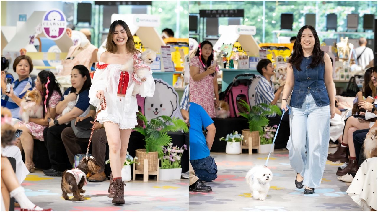 รันเวย์หมาครั้งแรกที่สยามดิสคัฟเวอรี่ เมื่อแฟชั่นสัตว์เลี้ยงขึ้นเวทีใหญ่