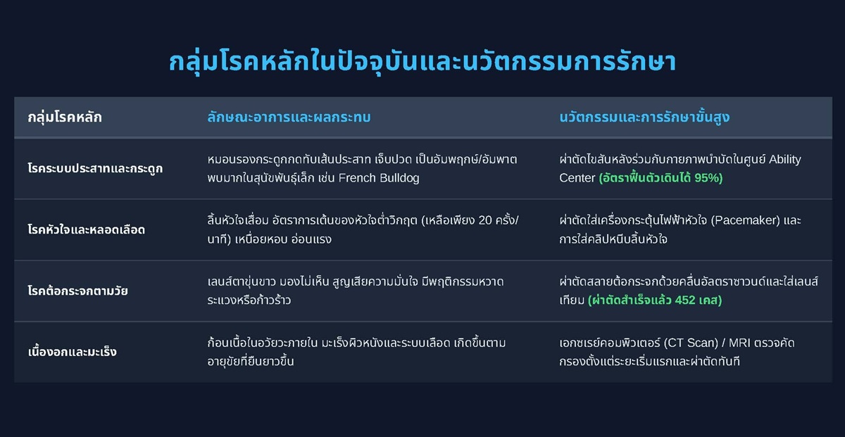 เจ้าของสัตว์เลี้ยงเปย์สุขภาพระยะยาว ดันยุคใหม่โรงพยาบาลสัตว์สมัยใหม่