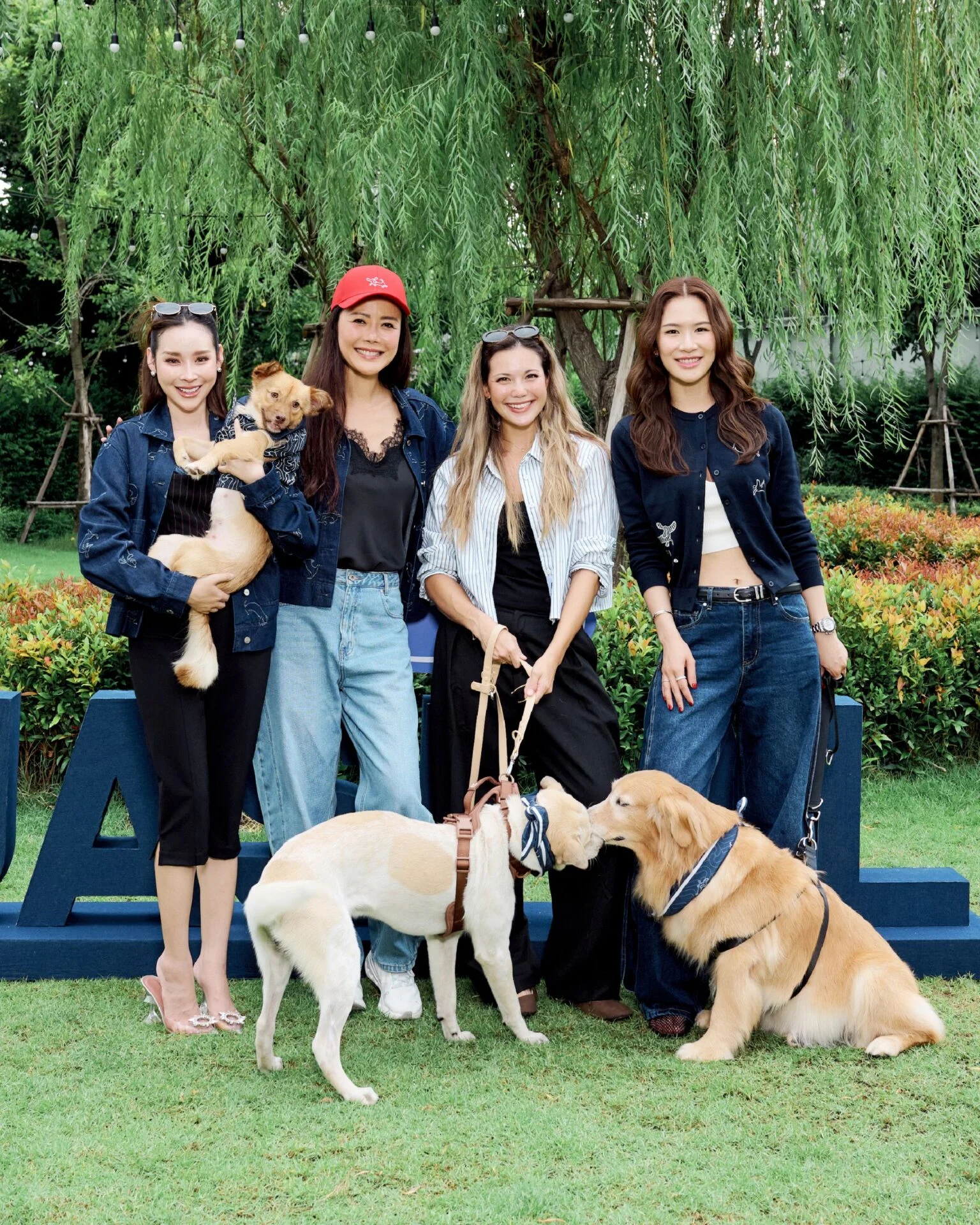 แฟชั่นสัตว์เลี้ยงจากของกุ๊กกิ๊กสู่รันเวย์และคอลเลกชั่นสำหรับ Dog Lovers