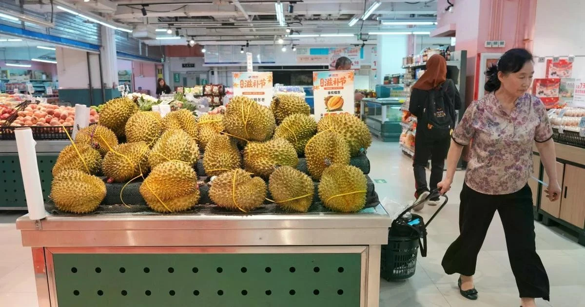 ราคาทุเรียนจีนทรุดฮวบ สัญญาณอันตรายต่อเกษตรกรเอเชียตะวันออกเฉียงใต้