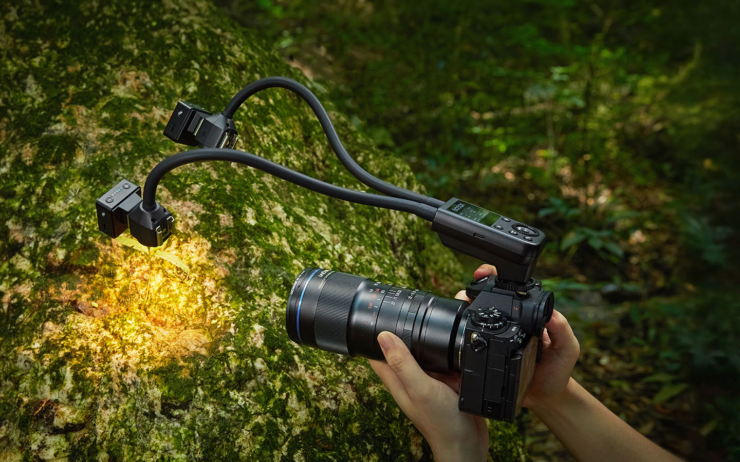 Godox MA2 ไฟมาโครแบบยืดหยุ่นที่เปลี่ยนเลนส์ใกล้ให้กลายเป็นสตูดิโอพกพา
