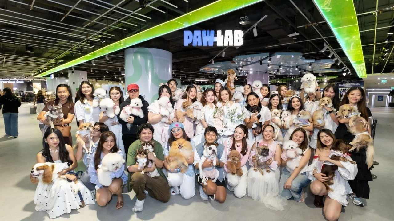 รันเวย์หมาครั้งแรกที่สยามดิสคัฟเวอรี่ เมื่อแฟชั่นสัตว์เลี้ยงขึ้นเวทีใหญ่
