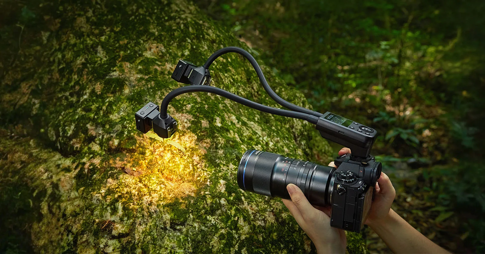Godox MA2 Macro Twin Light เปลี่ยนงานใกล้วัตถุให้คล่องตัวกว่าระบบริงแฟลช