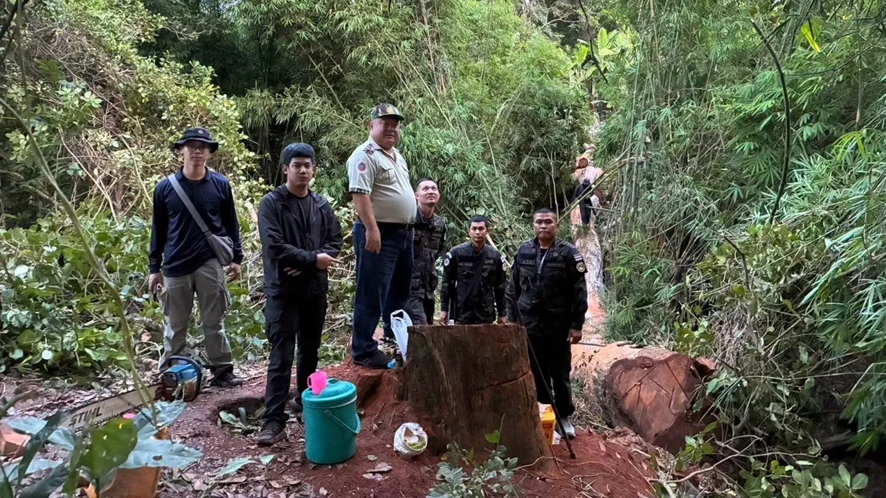 ตำรวจปราบปรามค้าสัตว์ป่า ทลายเครือข่ายเต่าลักลอบขนส่งเชื่อมอาชญากรรมข้ามชาติ
